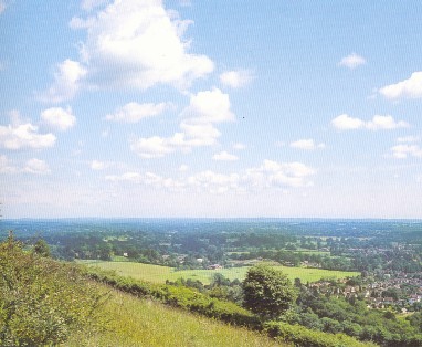 Box Hill